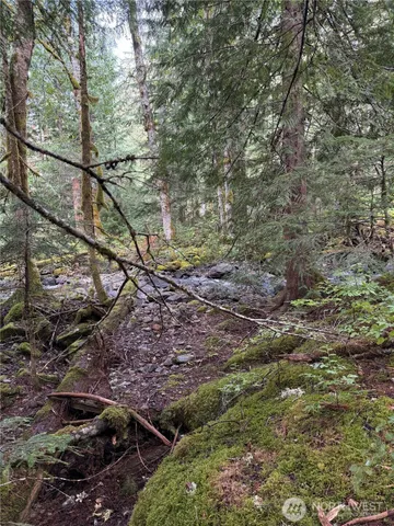 $195,000 | 0 Mountain Loop Highway, Leavenworth, WA 98826