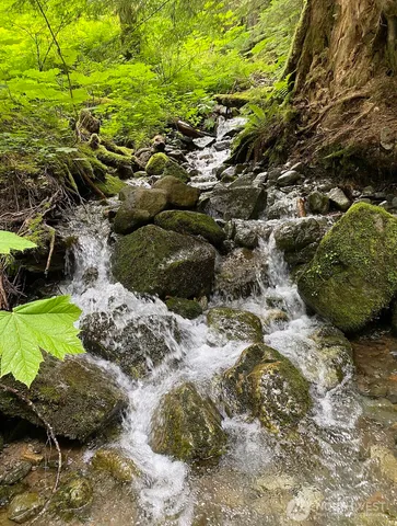 $195,000 | 0 Mountain Loop Highway, Leavenworth, WA 98826