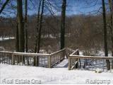 5300 King Road Howell, MI 48843 - Photo 4 of 22 Boardwalk winter