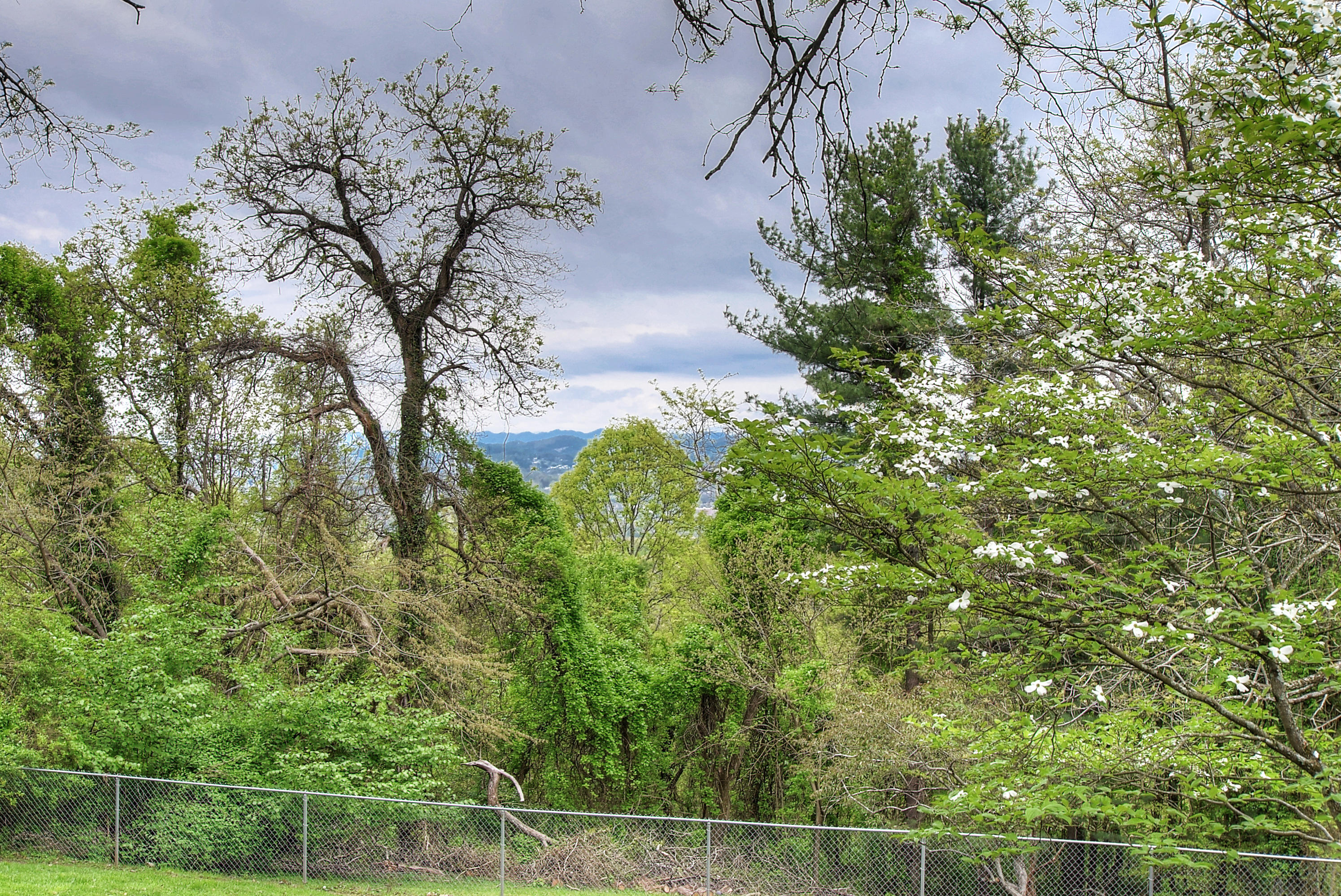 4584 Old Stage Road Kingsport, TN 37664 - Photo 44 of 44 DSC_0177_8_9