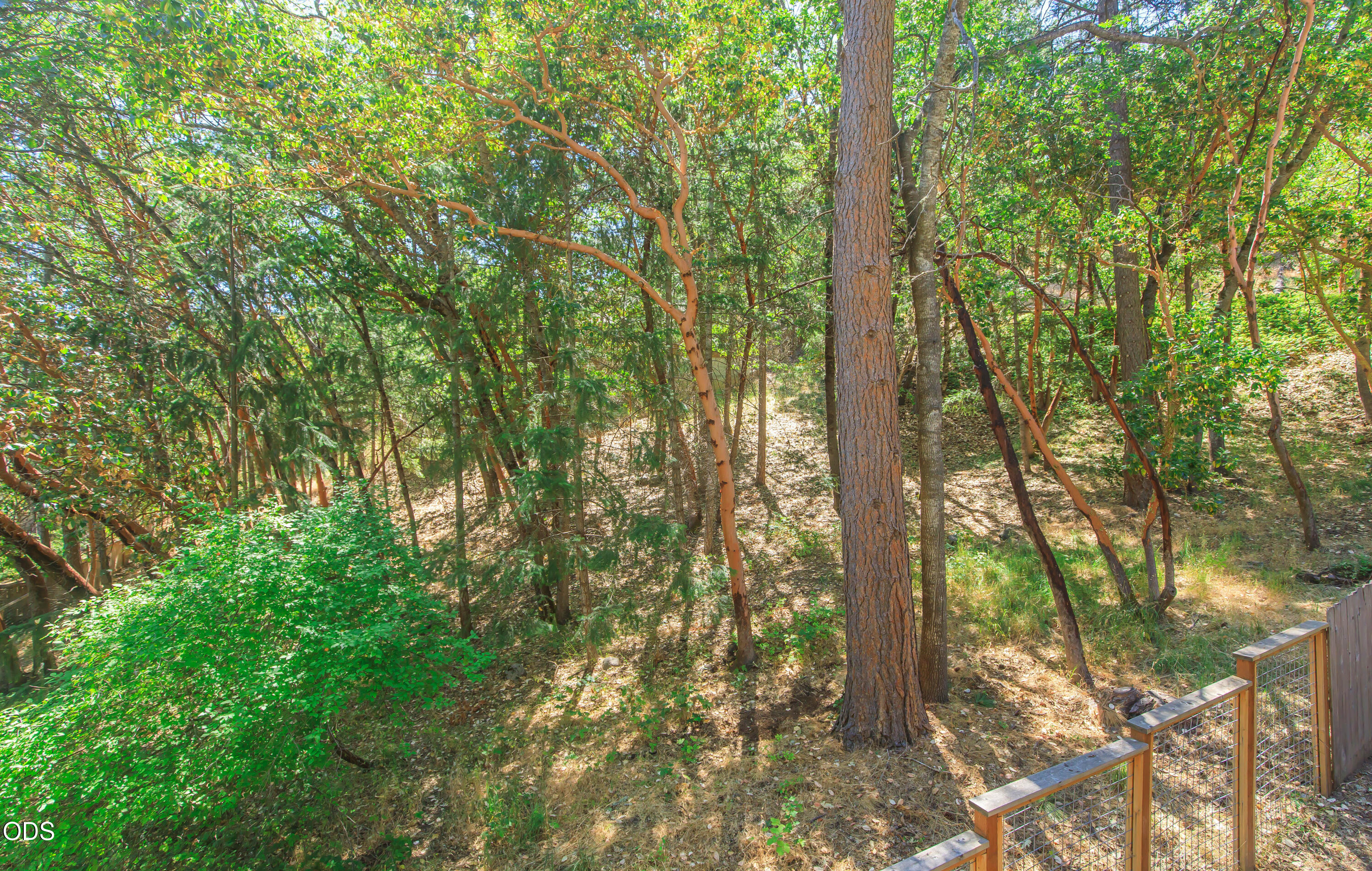 886 Palmer Road Ashland, OR 97520 - Photo 22 of 27