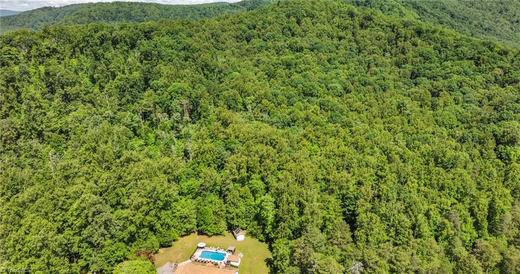 Tbd Shingle Gap Road Purlear, NC 28665 - Photo 9 of 20
