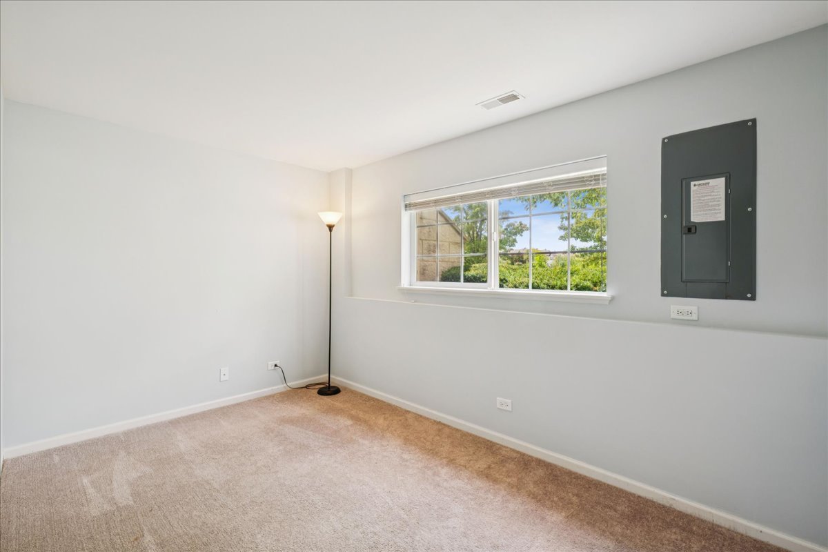 233 Jackson Street Gilberts, IL 60136 - Photo 20 of 29 an empty room with windows