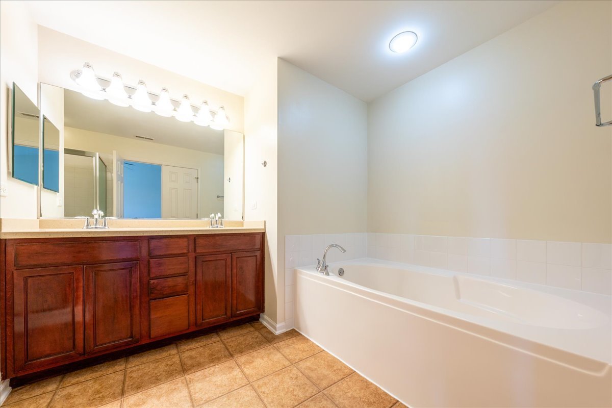 233 Jackson Street Gilberts, IL 60136 - Photo 23 of 29 a spacious bathroom with a tub sink and mirror