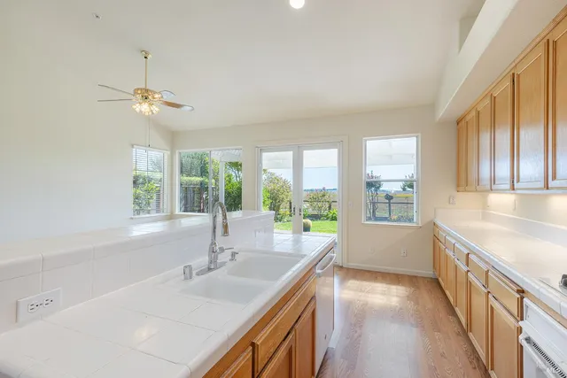 a view of a backyard with plants