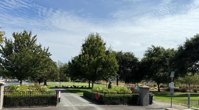 a front view of a house with a yard and trees