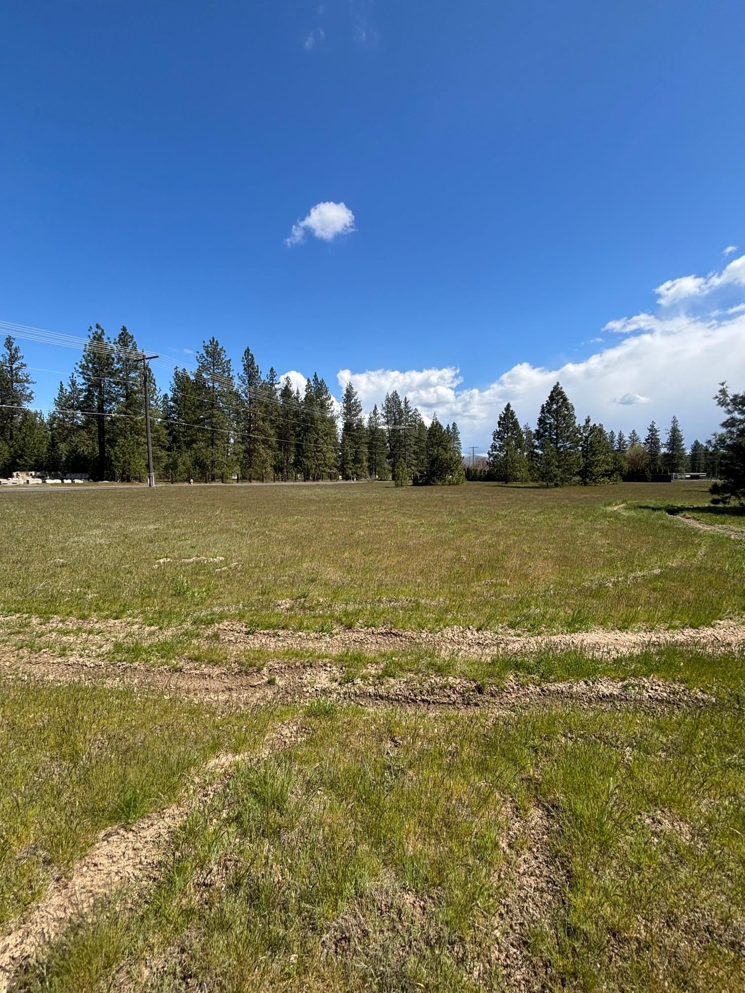 0 North Yale Road Colbert, WA 99005 - Photo 8 of 29