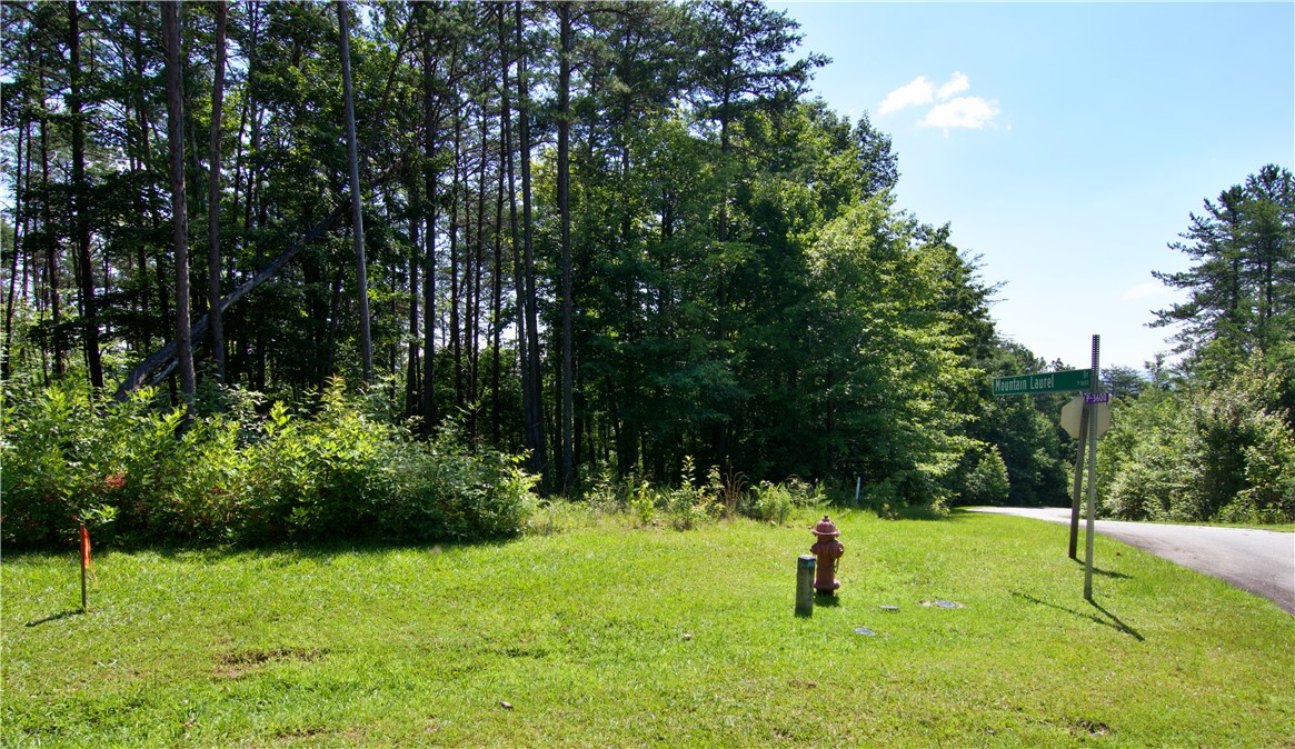 258 Jocassee Ridge Way Salem, SC 29676 - Photo 19 of 23 Gallery Image 19