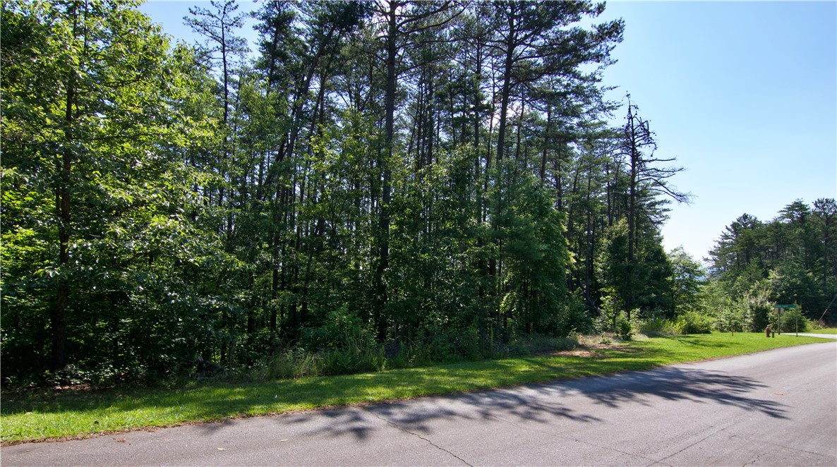 258 Jocassee Ridge Way Salem, SC 29676 - Photo 20 of 23 Gallery Image 20