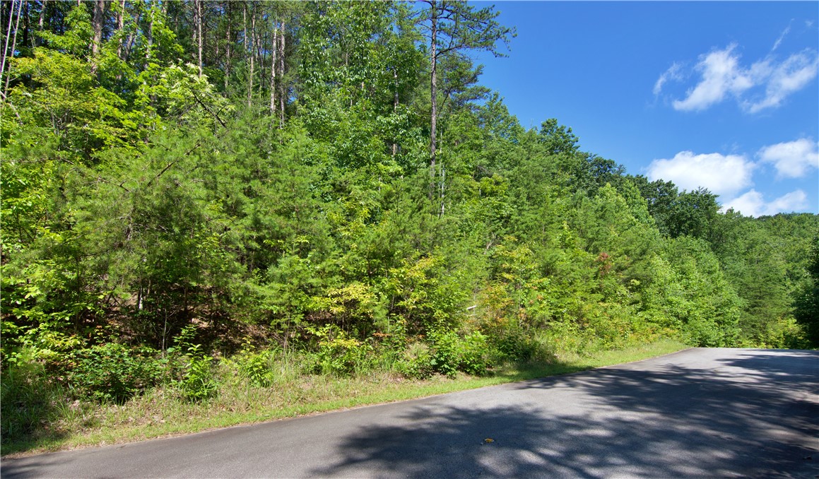 258 Jocassee Ridge Way Salem, SC 29676 - Photo 21 of 23 Gallery Image 21