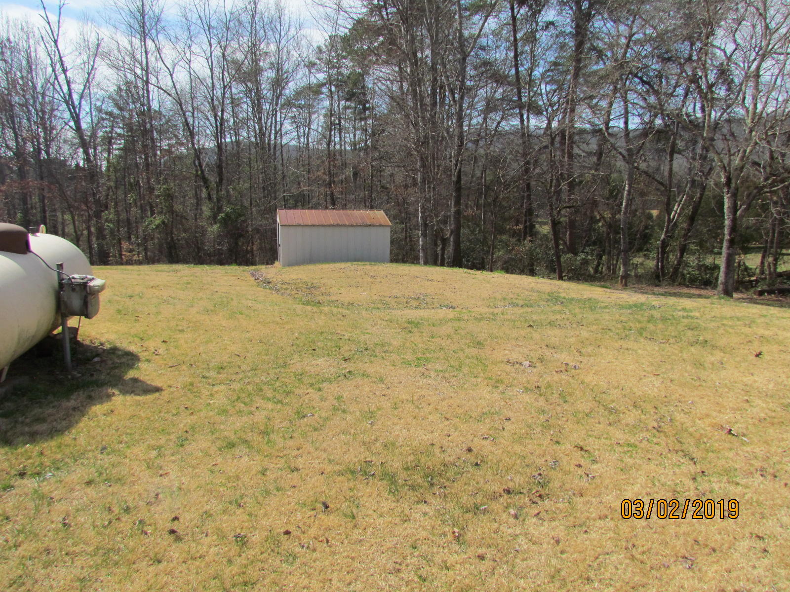 323 Roddy Road Spring City, TN 37381 - Photo 33 of 33 backyard
