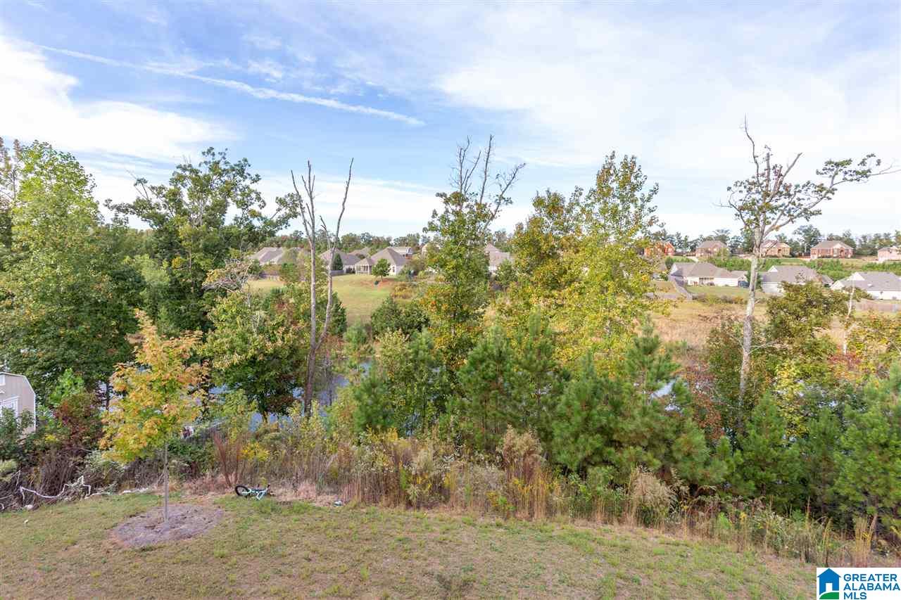 354 Blackberry Boulevard Springville, AL 35146 - Photo 46 of 50