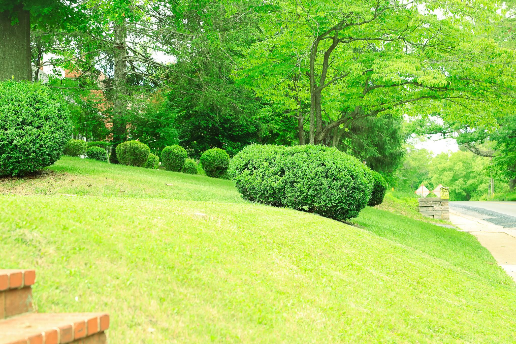844 Lyndhurst Road Waynesboro, VA 22980 - Photo 11 of 70 Gallery Image 11