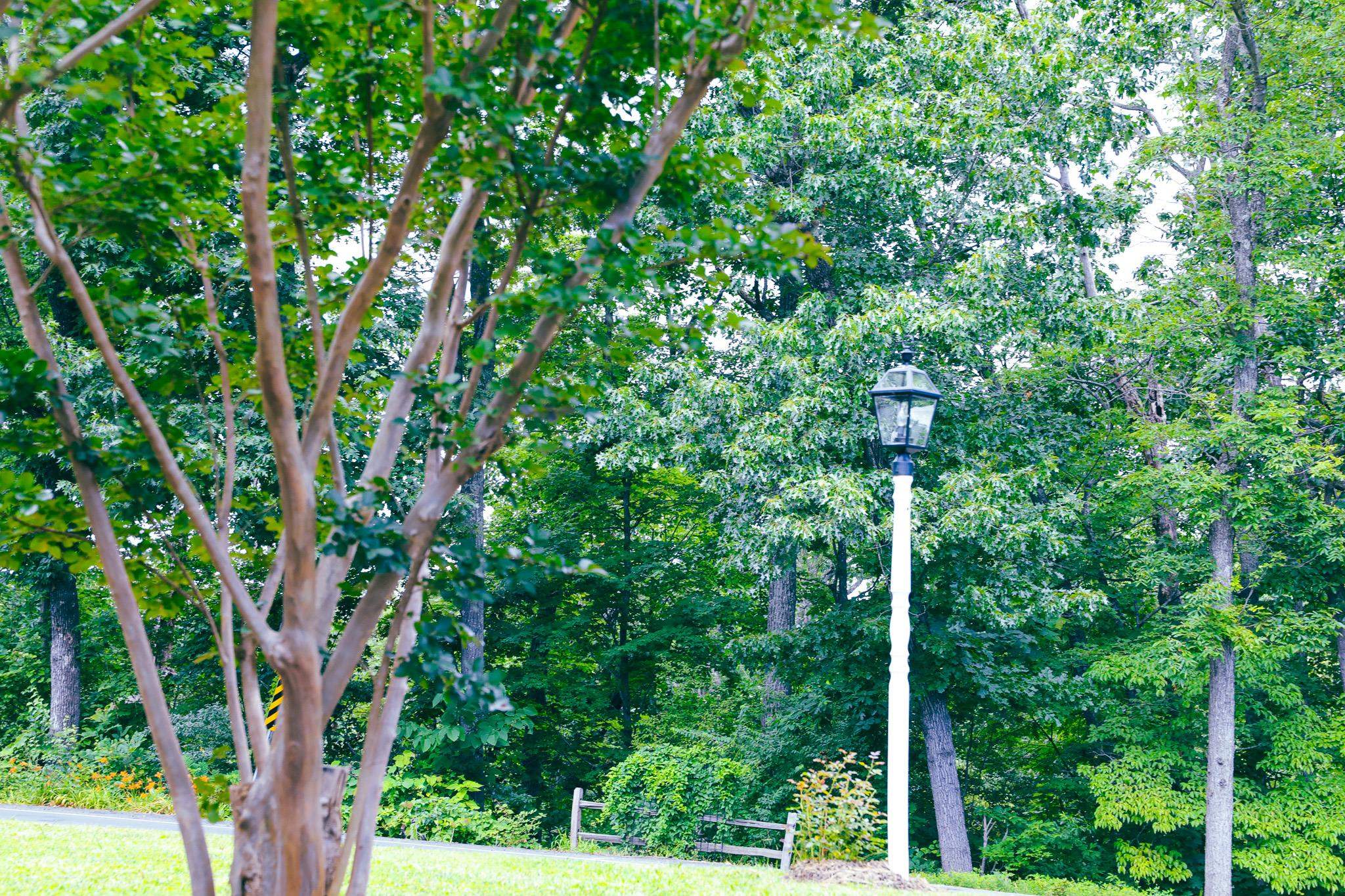 844 Lyndhurst Road Waynesboro, VA 22980 - Photo 17 of 70 Gallery Image 17