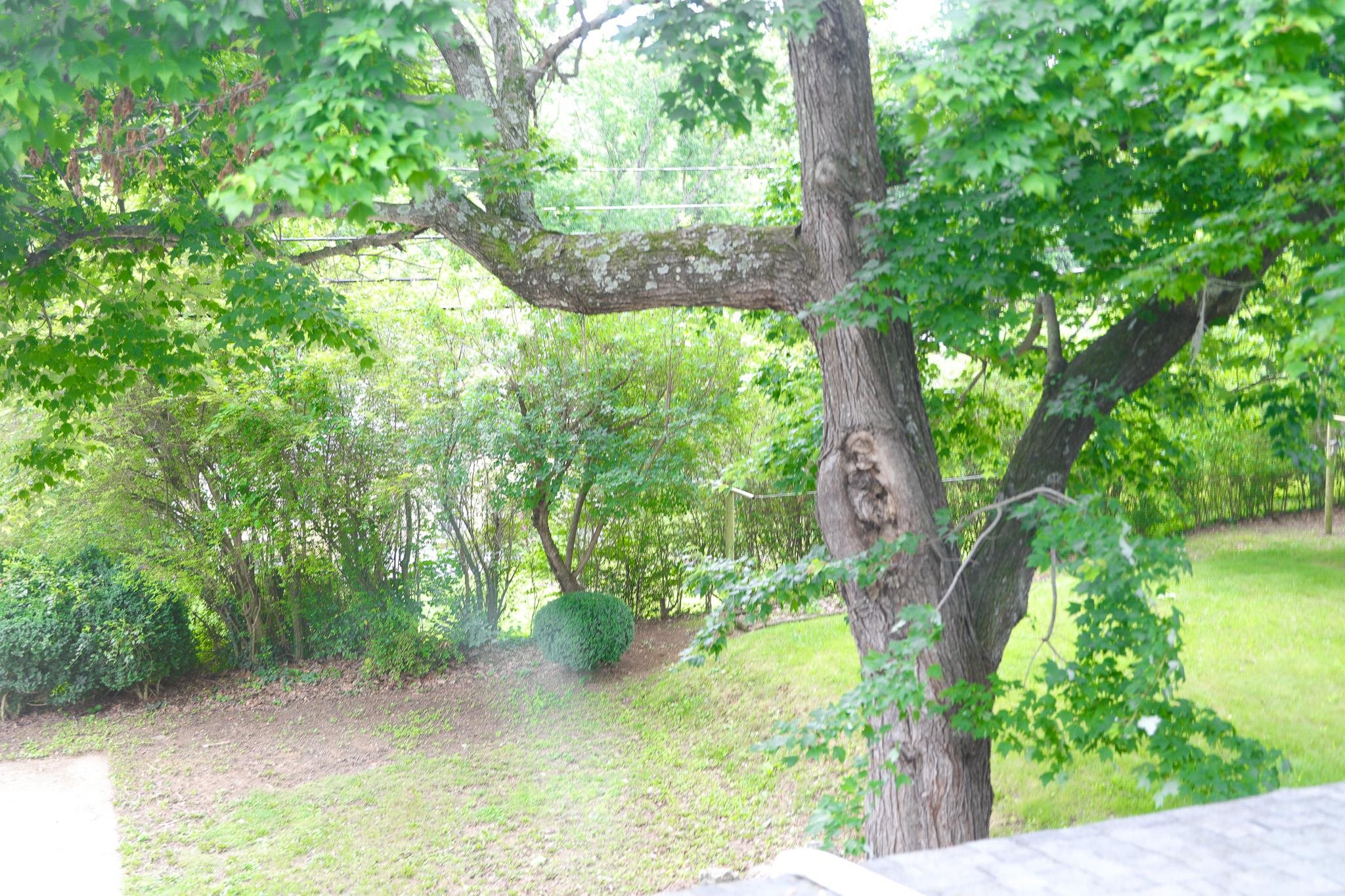 844 Lyndhurst Road Waynesboro, VA 22980 - Photo 9 of 70 Gallery Image 9