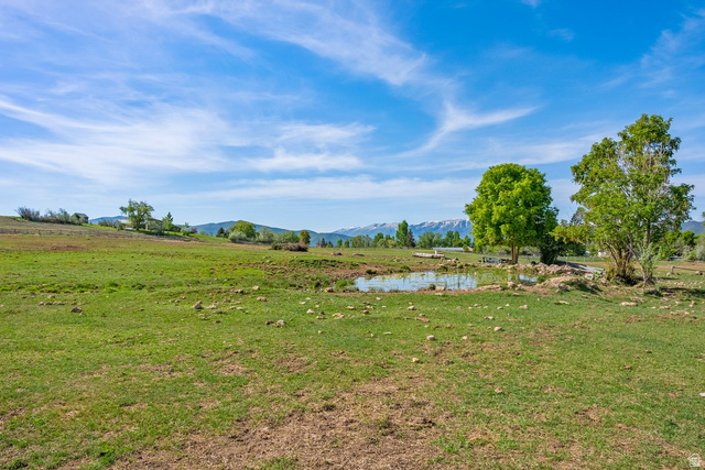 308 Pine Canyon Road, Unit 14387 Midway, UT 84049 - Photo 2 of 13