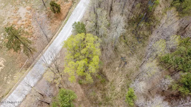 $44,000 | 0 Wilkins Chapel Road, Holly Springs, MS 38635