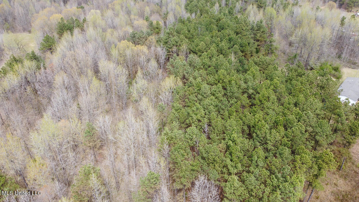 0 Wilkins Chapel Road Holly Springs, MS 38635 - Photo 13 of 19 WilkinsChapelRdHollySpringsMS115