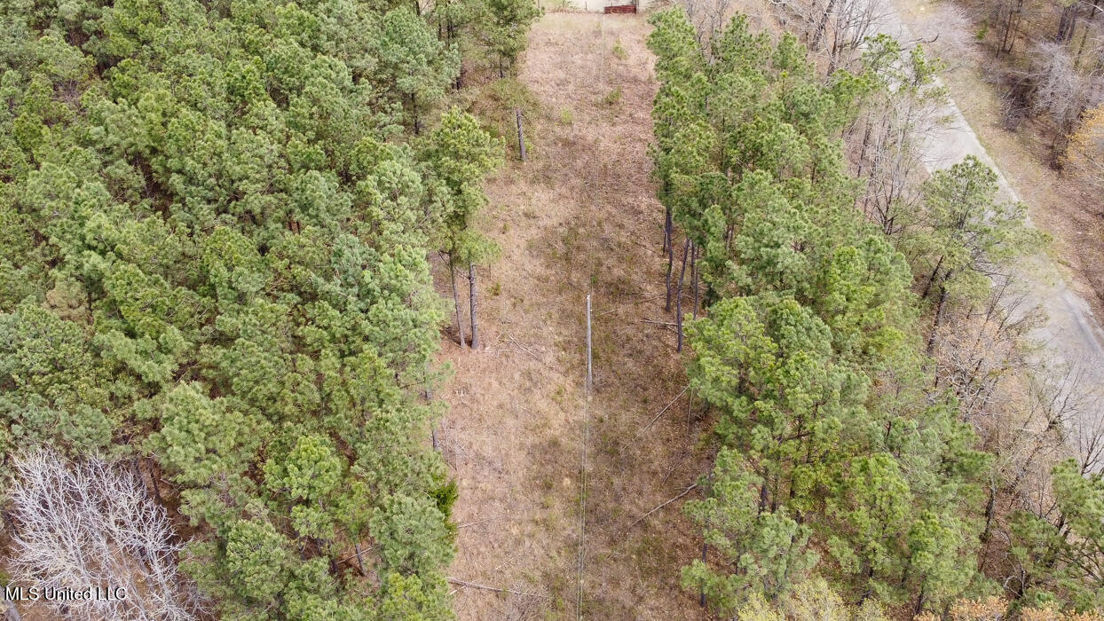 0 Wilkins Chapel Road Holly Springs, MS 38635 - Photo 14 of 19 WilkinsChapelRdHollySpringsMS116