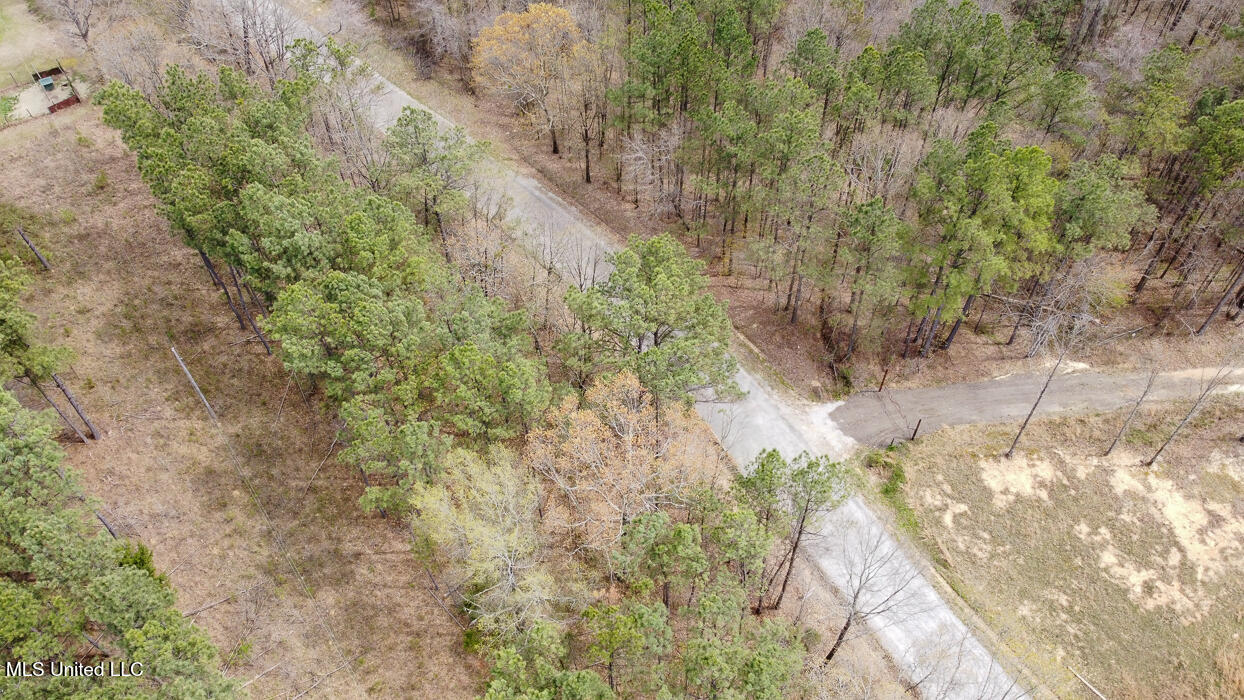 0 Wilkins Chapel Road Holly Springs, MS 38635 - Photo 15 of 19 WilkinsChapelRdHollySpringsMS117