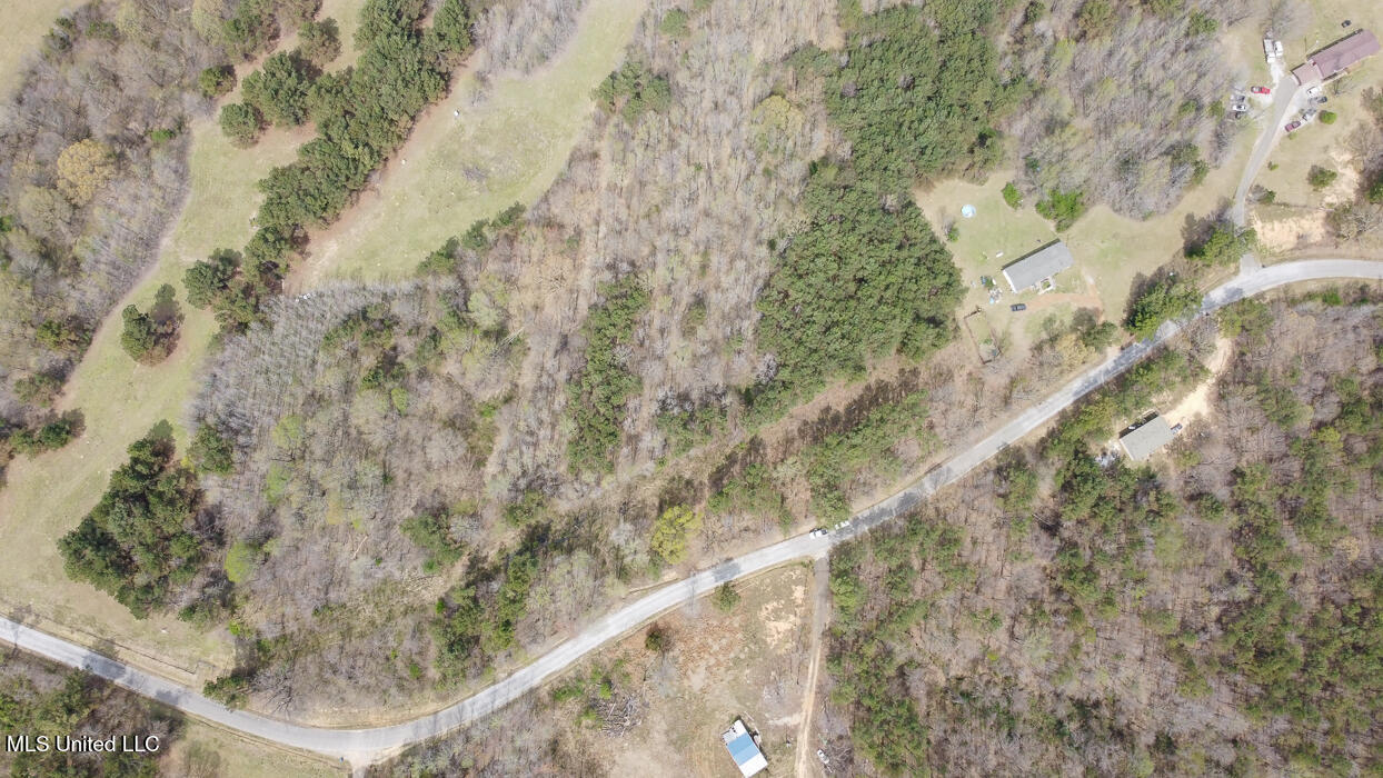 0 Wilkins Chapel Road Holly Springs, MS 38635 - Photo 17 of 19 WilkinsChapelRdHollySpringsMS101