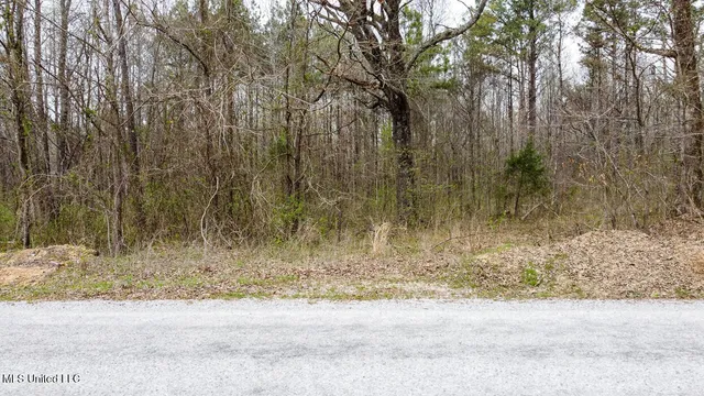 $44,000 | 0 Wilkins Chapel Road, Holly Springs, MS 38635