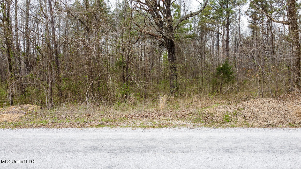 0 Wilkins Chapel Road Holly Springs, MS 38635 - Photo 4 of 19 WilkinsChapelRdHollySpringsMS106