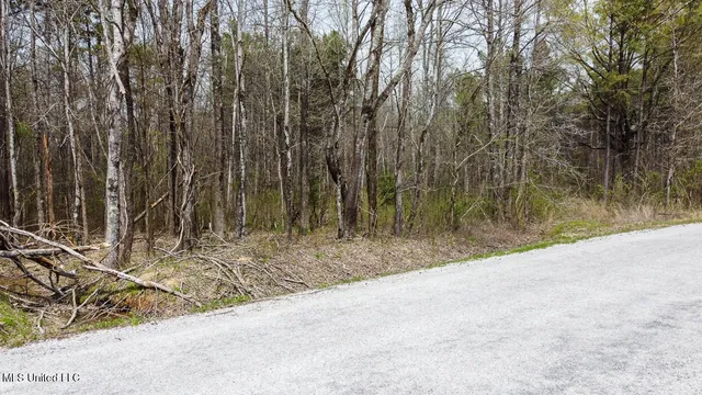 $44,000 | 0 Wilkins Chapel Road, Holly Springs, MS 38635