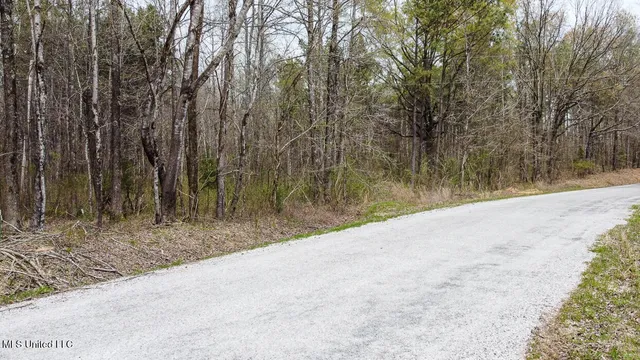 $44,000 | 0 Wilkins Chapel Road, Holly Springs, MS 38635