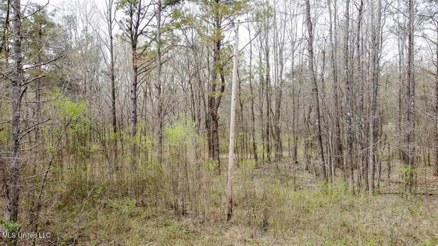 $44,000 | 0 Wilkins Chapel Road, Holly Springs, MS 38635