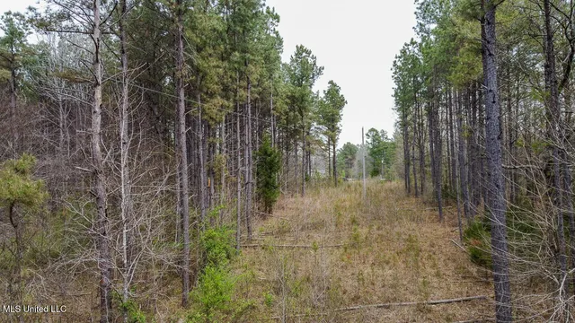 $44,000 | 0 Wilkins Chapel Road, Holly Springs, MS 38635