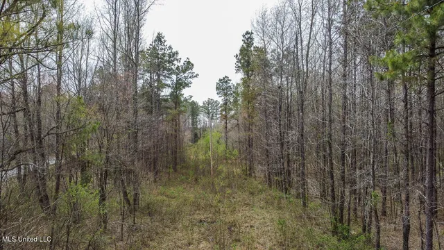 $44,000 | 0 Wilkins Chapel Road, Holly Springs, MS 38635