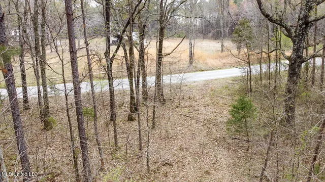 $44,000 | 0 Wilkins Chapel Road, Holly Springs, MS 38635