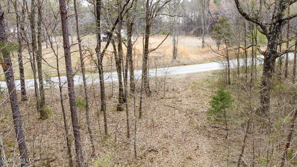 0 Wilkins Chapel Road Holly Springs, MS 38635 - Photo 10 of 19 WilkinsChapelRdHollySpringsMS112