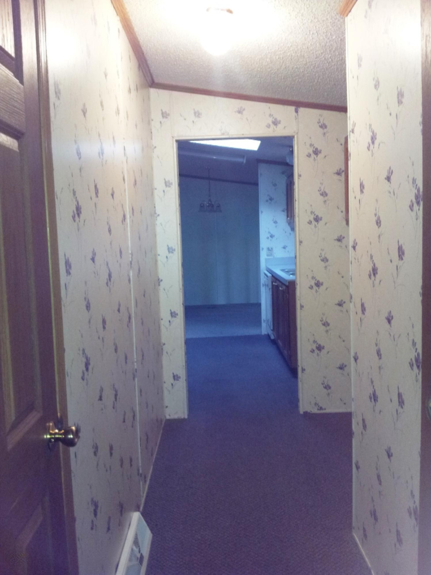 4950 Carlson Road Stanton, MI 48888 - Photo 11 of 18 Hallway from garage to kitchen