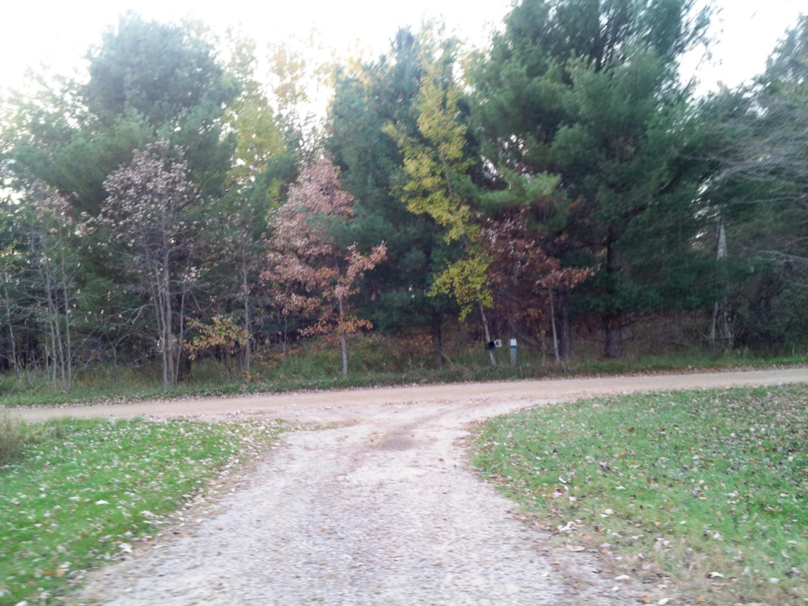 4950 Carlson Road Stanton, MI 48888 - Photo 17 of 18 Driveway view from home to road