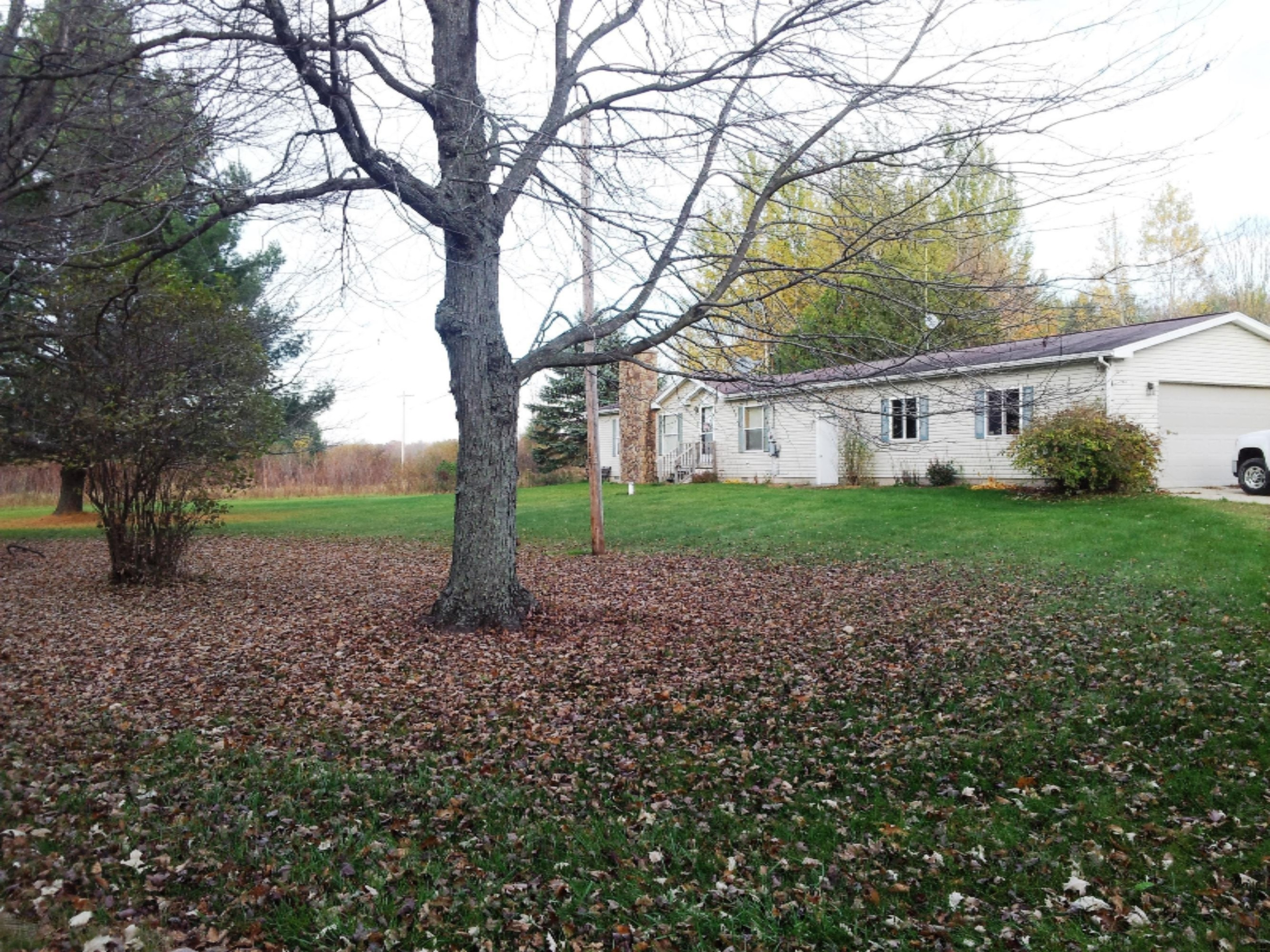 4950 Carlson Road Stanton, MI 48888 - Photo 4 of 18 Carlson rd viewing property