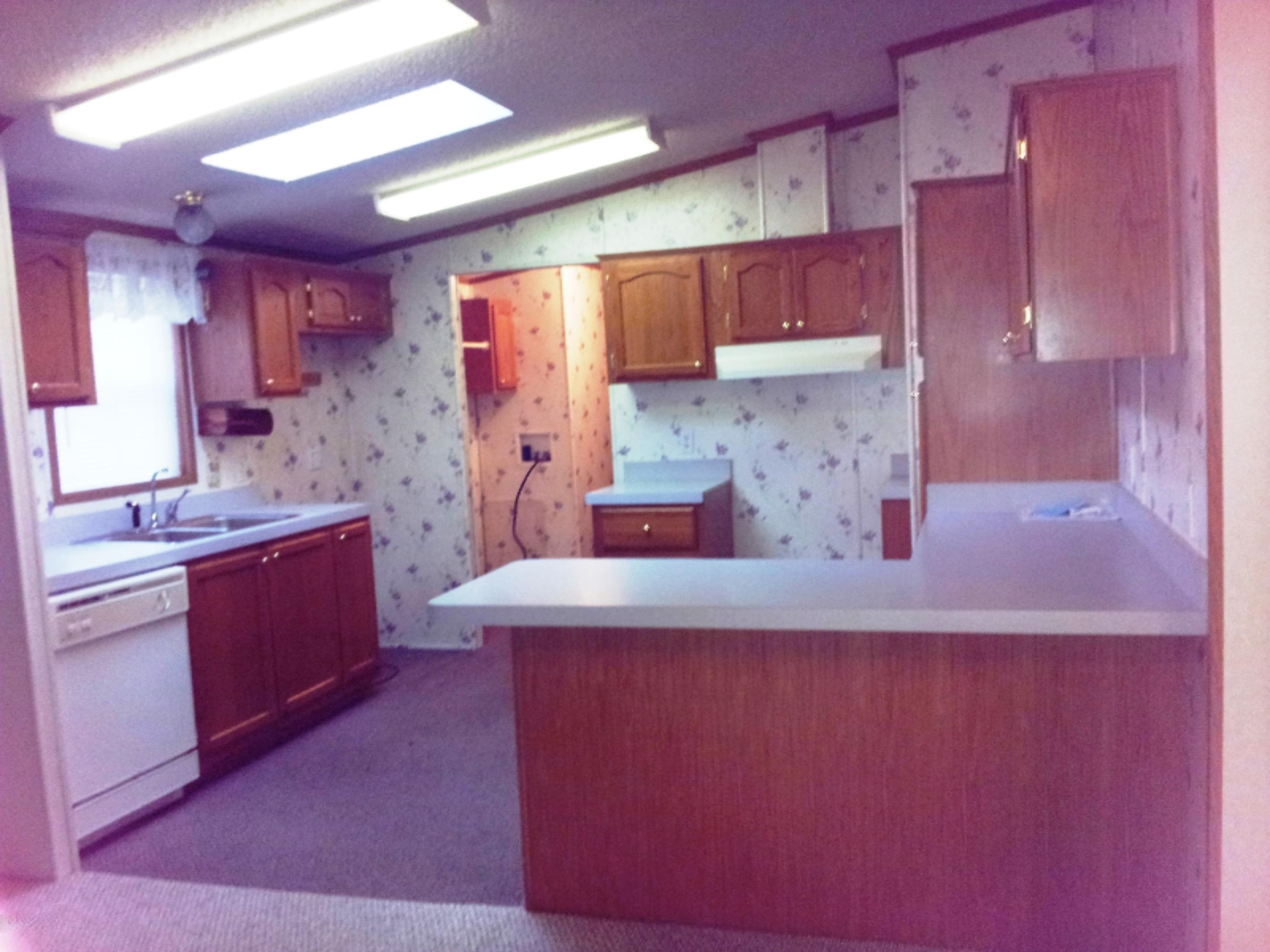 4950 Carlson Road Stanton, MI 48888 - Photo 9 of 18 Kitchen