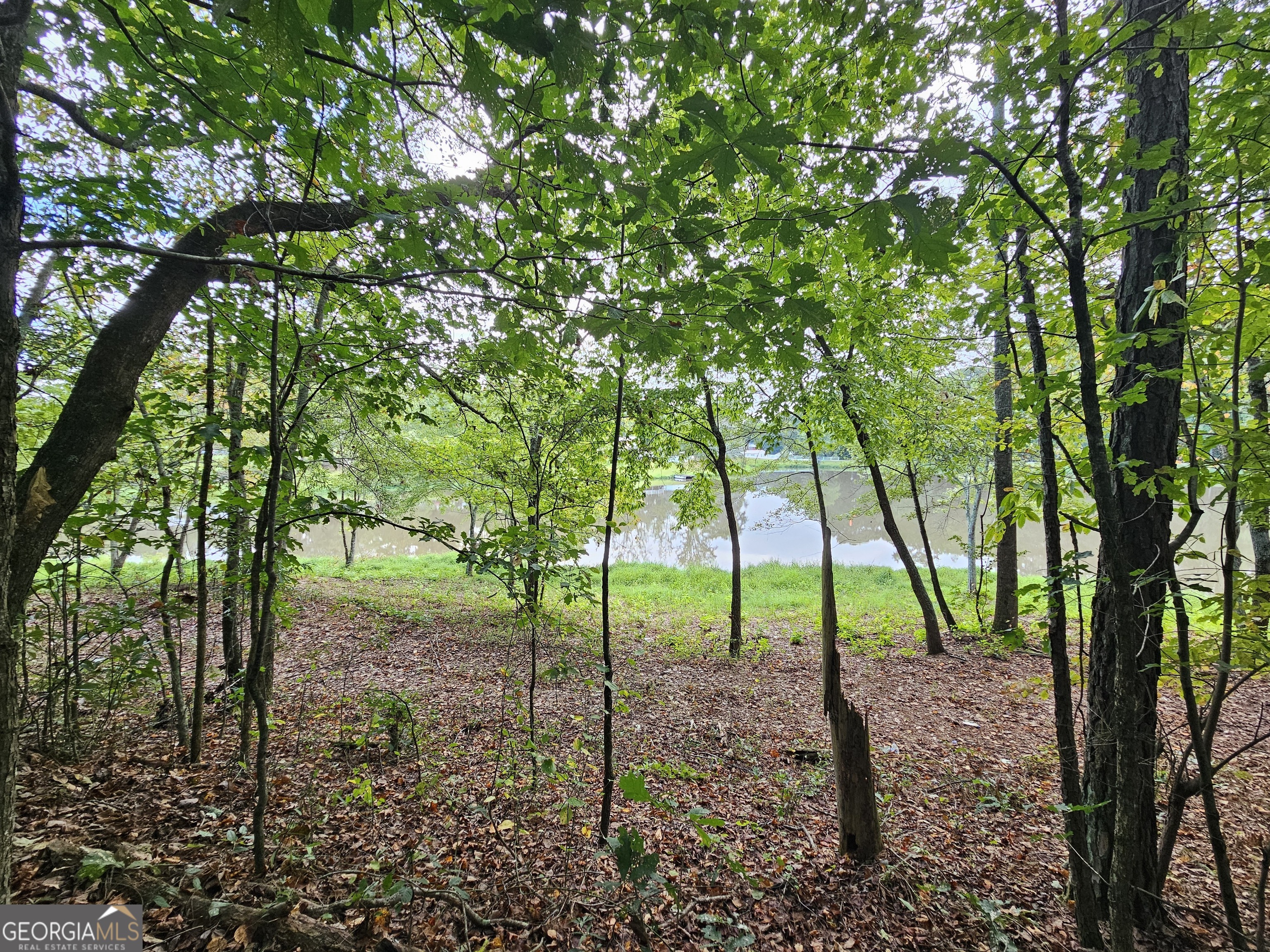 0 Goshen Church Road, Unit TRACT 4 (5 ACRES) Franklin, GA 30217 - Photo 1 of 1 Gallery Image 1