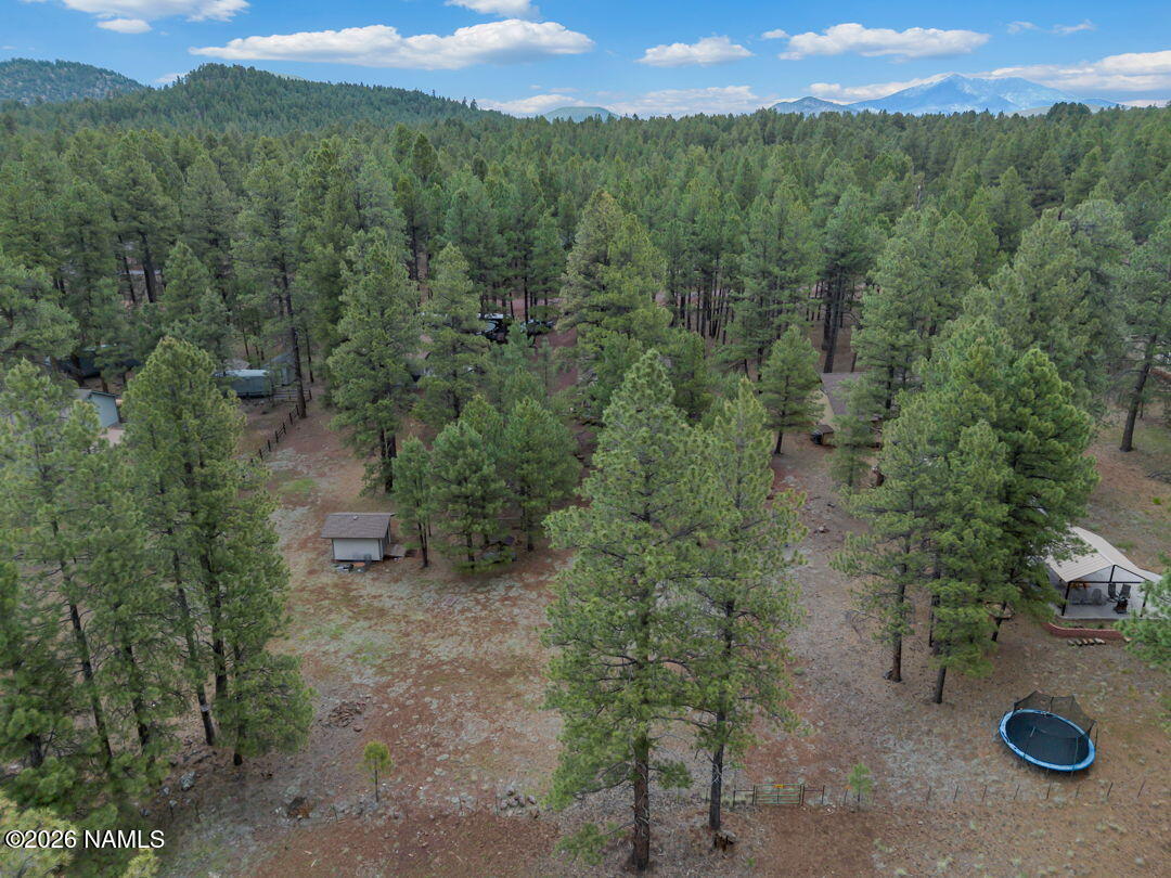 13050 Fallow Deer Road Parks, AZ 86018 - Photo 41 of 44 43-web-or-mls-Media.TimberCreekImagery-4