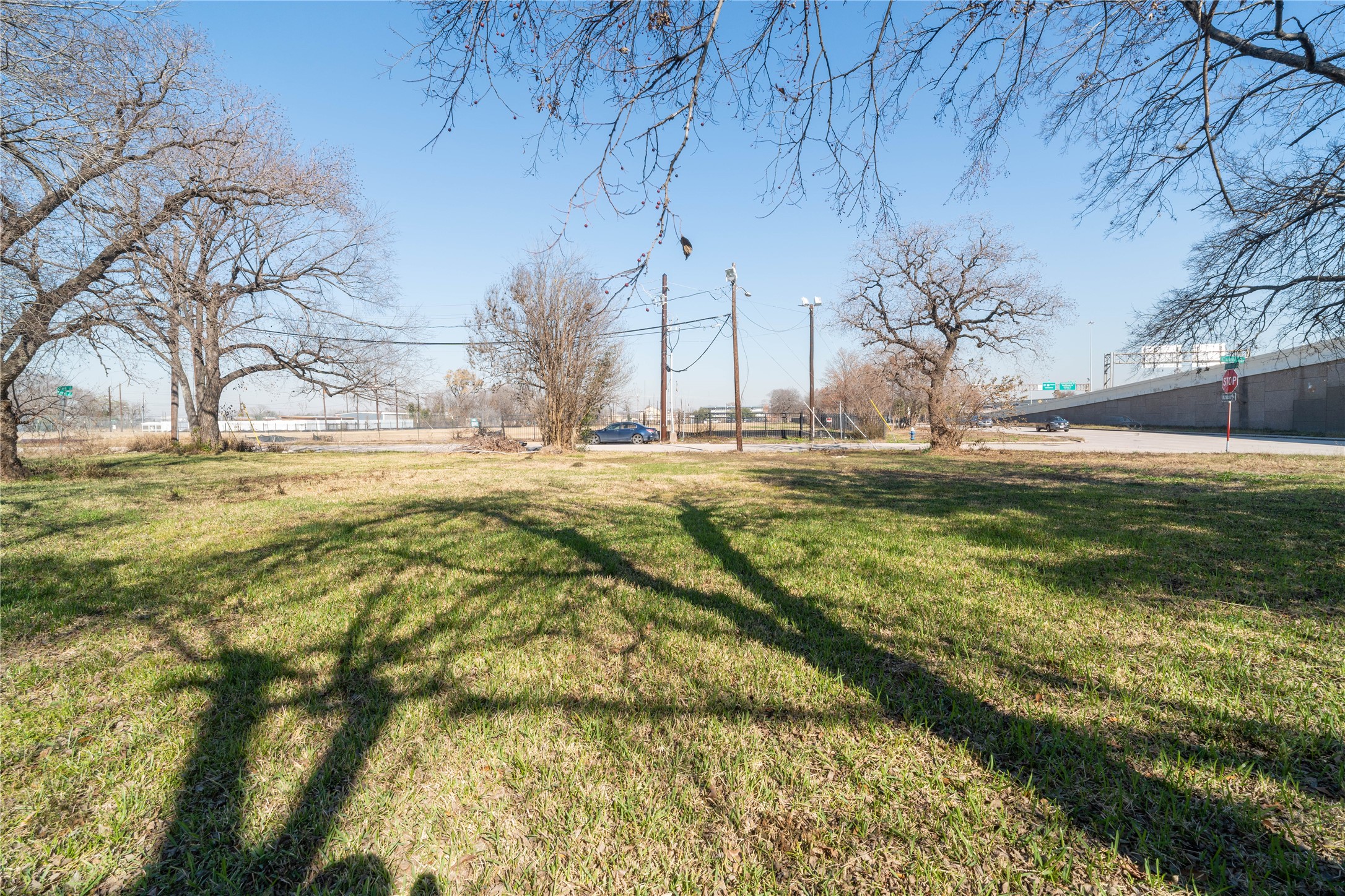 2812 Conti Street Houston, TX 77020 - Photo 2 of 6 a view of yard with tree