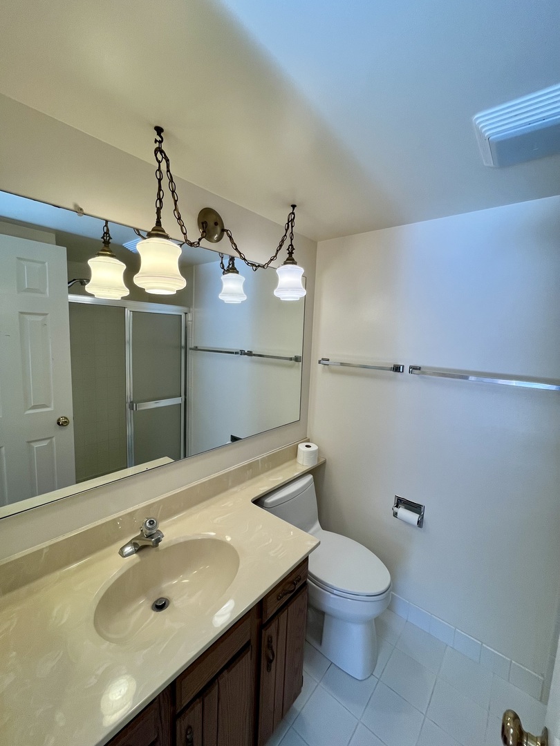 315 Bluff Court, Unit C Lake Barrington, IL 60010 - Photo 19 of 43 a bathroom with a sink a toilet and mirror