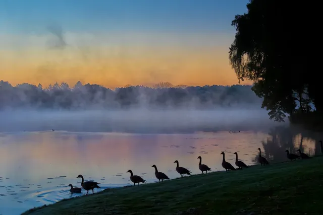 $299,000 | 315 Bluff Court, Unit C, Lake Barrington, IL 60010