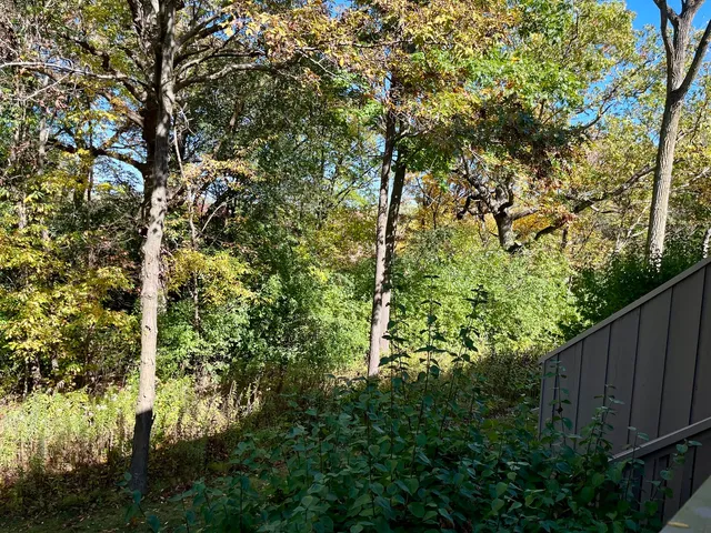 $299,000 | 315 Bluff Court, Unit C, Lake Barrington, IL 60010