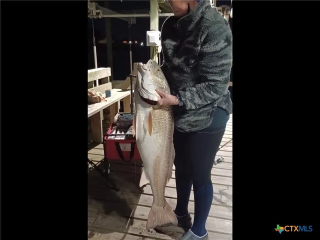 a view of beach and ocean