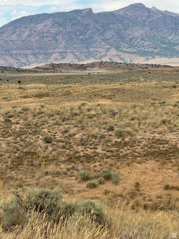 20 Old Dam Road, Unit 20 Levan, UT 84639 - Photo 4 of 7