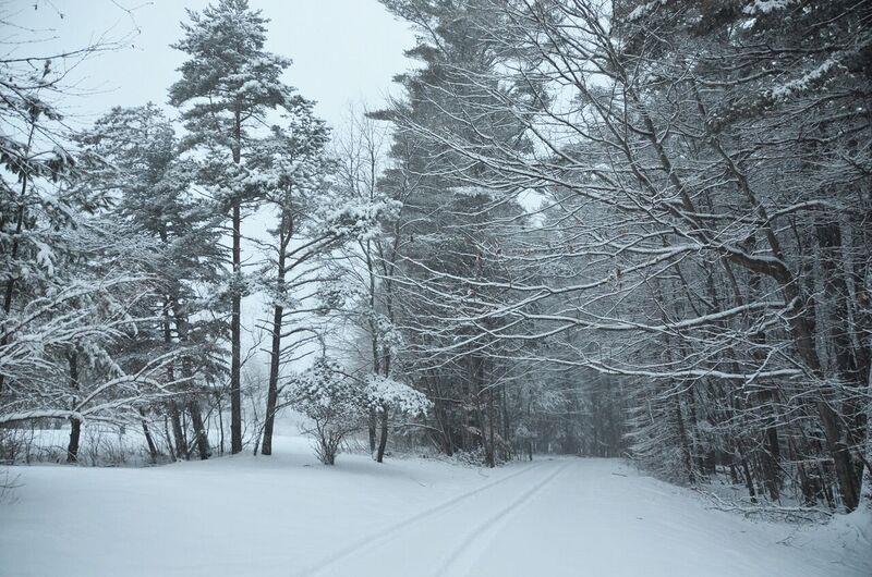 218 Pleasant Valley Road Brattleboro, VT 05301 - Photo 23 of 24