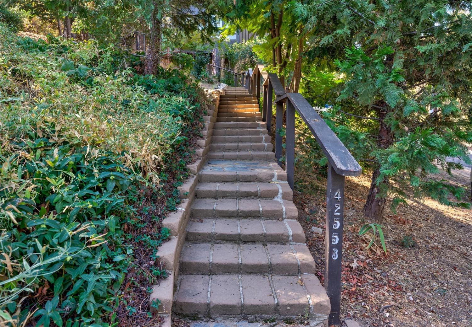 42553 Buckeye Road Oakhurst, CA 93644 - Photo 5 of 30 Gallery Image 5