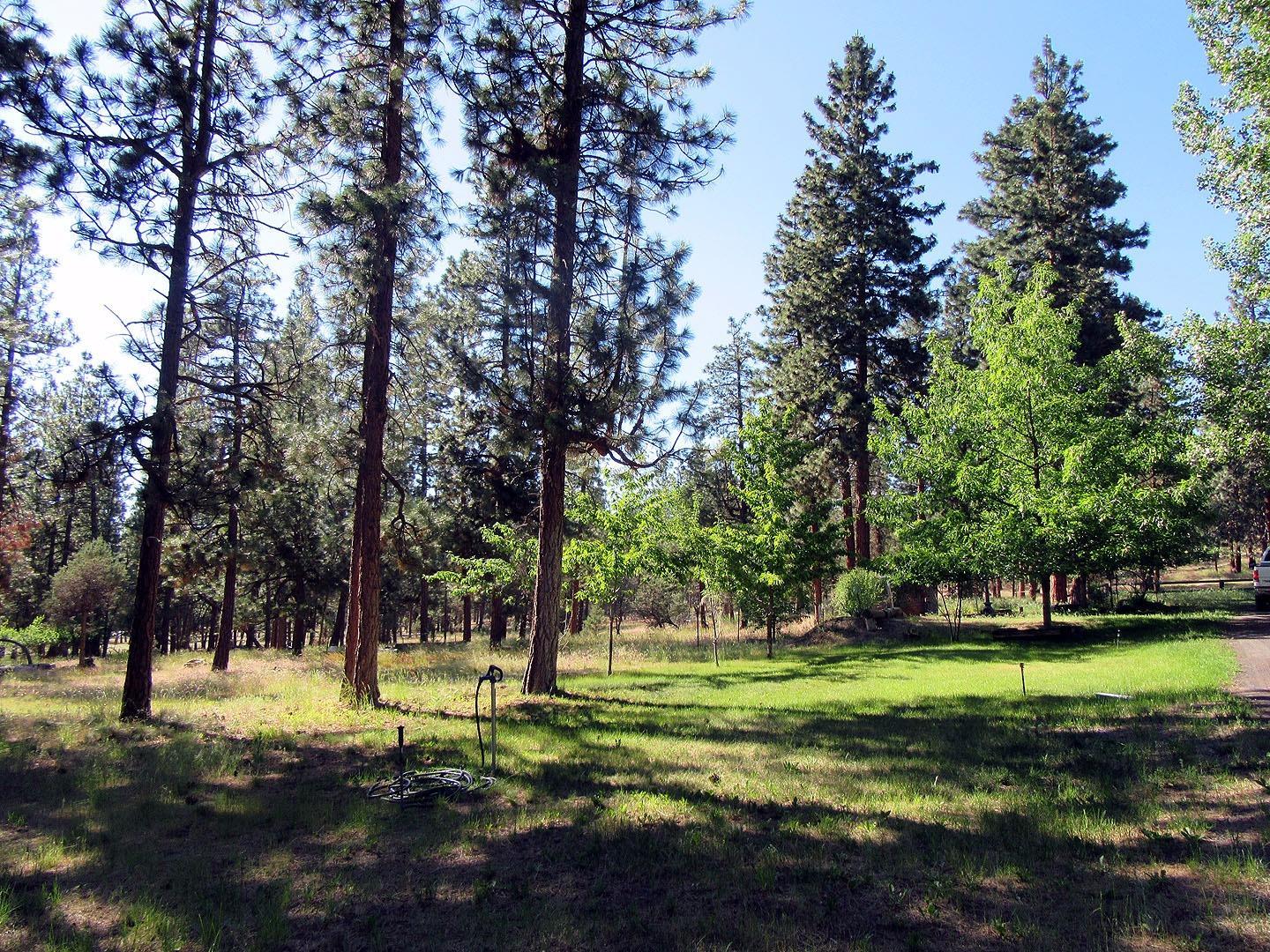 28045 Petersteiner Road Bonanza, OR 97623 - Photo 25 of 33 Additional Photo