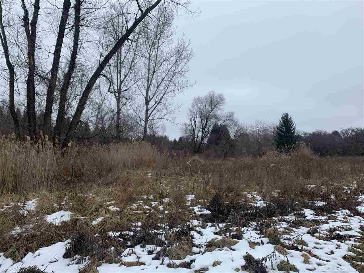 0 Weyer Romeo, MI 48065 - Photo 4 of 6